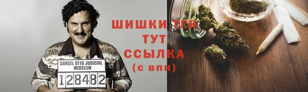 mdpv Белокуриха