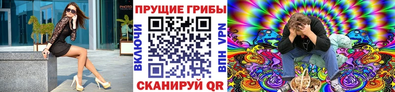 Псилоцибиновые грибы Cubensis  Костомукша 